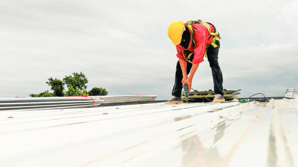 Best Roof Moss and Algae Removal  in Level Green, PA