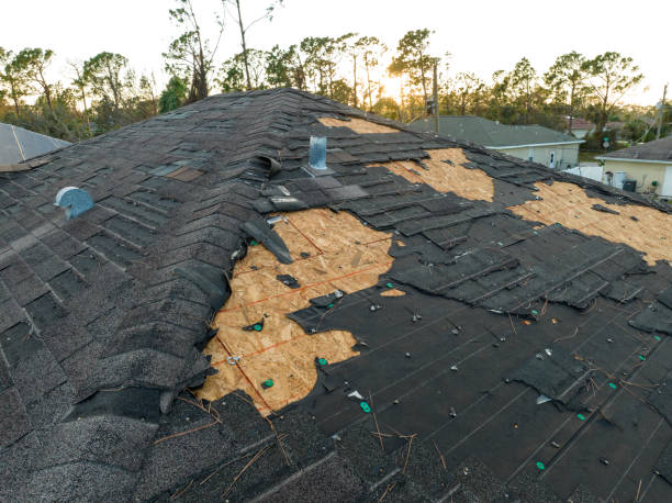 Best Sheet Metal Roofing  in Level Green, PA