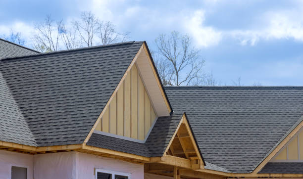 Best Roof Leak Repair  in Level Green, PA