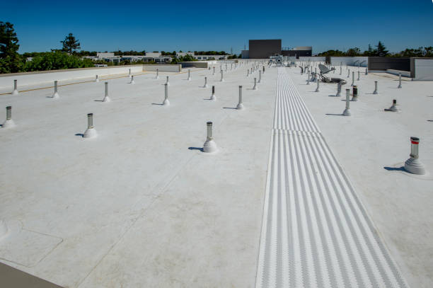 Best Metal Roofing Installation  in Level Green, PA